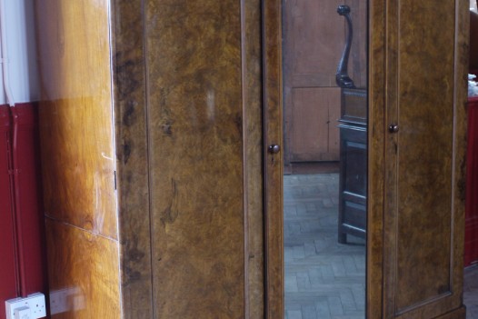 Burr Walnut Compactum