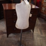 Half Model Mannequin