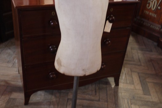 Half Model Mannequin