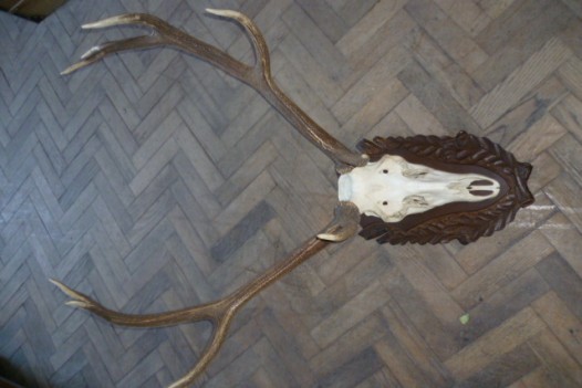 DECORATIVE BLACK FOREST ANTLERS