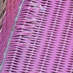IMG_3559