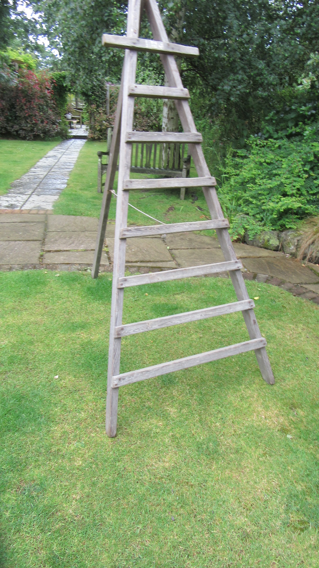 ANTIQUE COUNTRY PINE FOLDING FRUIT PICKING LADDER